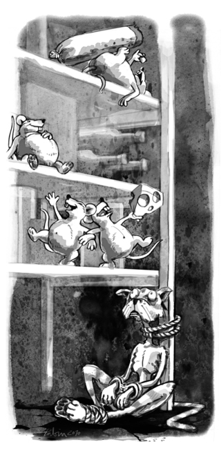 katz und maus / zeitfragen