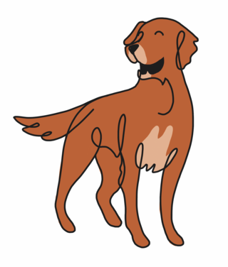hunde / alchemlife deutschland gmbh /agentur kmc bayreuth