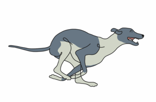 hunde / alchemlife deutschland gmbh /agentur kmc bayreuth
