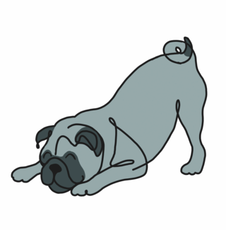 hunde / alchemlife deutschland gmbh /agentur kmc bayreuth